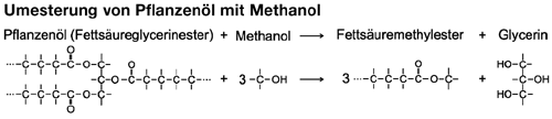 Umesterung von Pflanzenöl mit Methanol