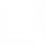 Logo WV Nutzfahrzeuge